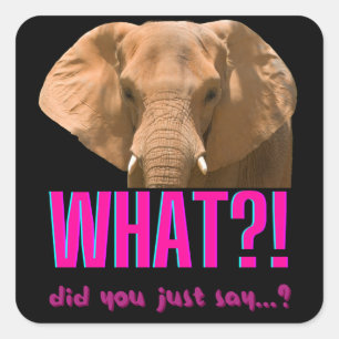 Elephant What Did You Just Say? Square Sticker