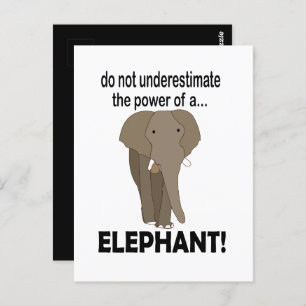 Elephant Wild Animal Funny Elephant Postcard