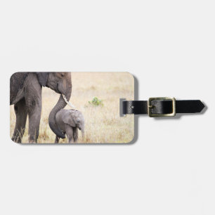 Elephant wildlife photography Africa Safari animal Luggage Tag