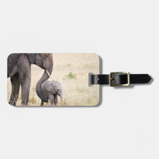 Elephant wildlife photography Africa Safari animal Luggage Tag