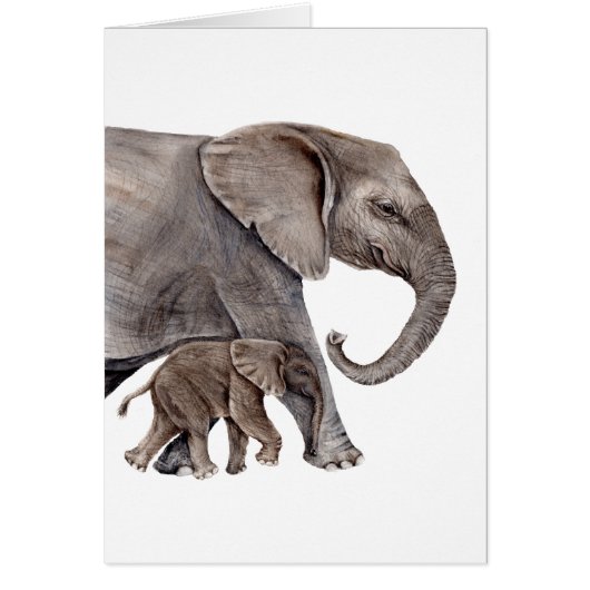 Elephant with Baby Elephant Cards (Front)