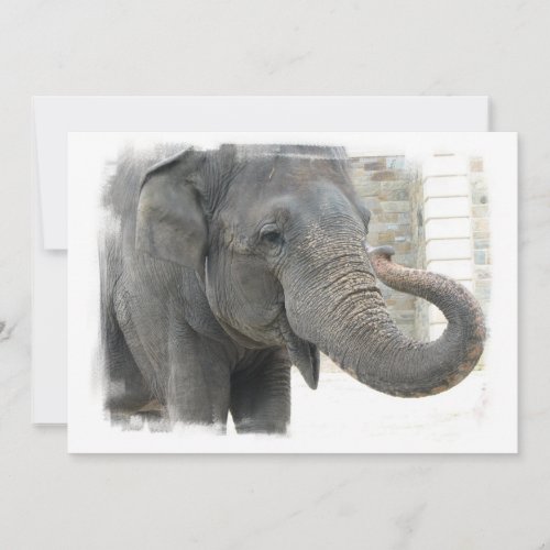 Elephant with Curled Trunk Invitation