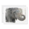 Elephant with Curled Trunk Invitation