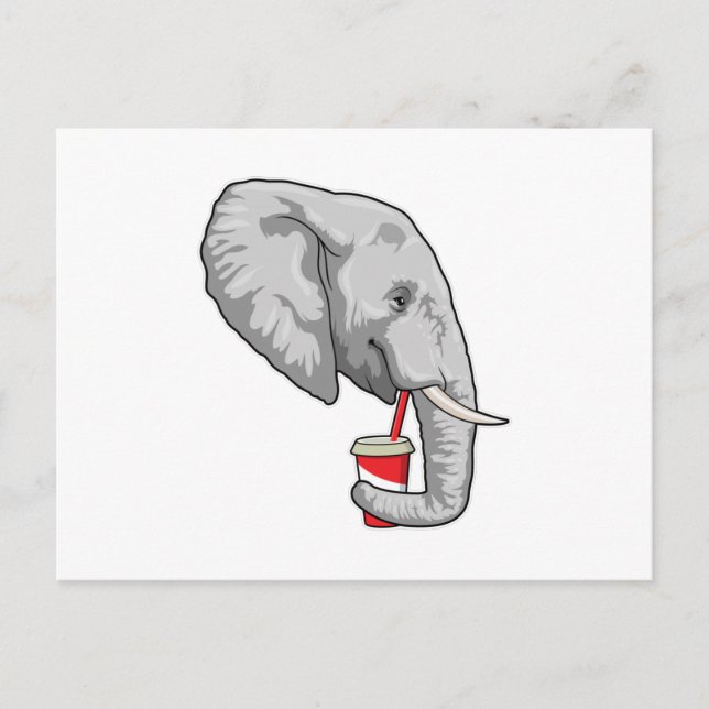 Elephant with Drink Postcard (Front)
