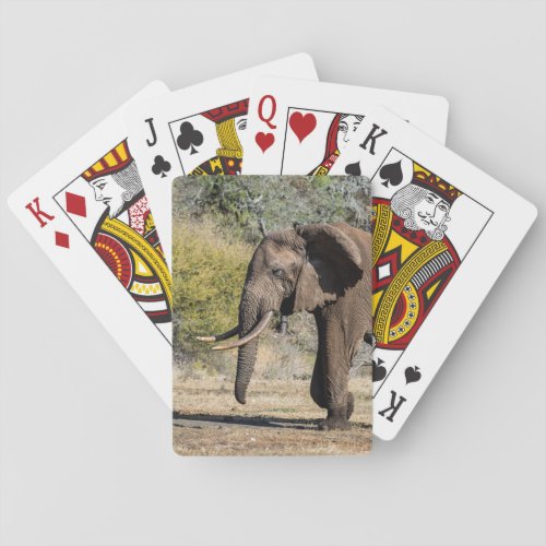 Elephant with Long Tusks Poker Cards