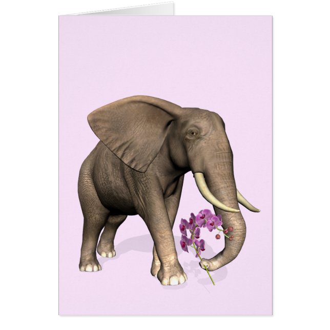 Elephant With Pink Orchid Cards (Front)