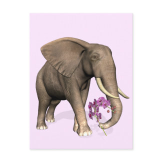 Elephant With Pink Orchid Postcard