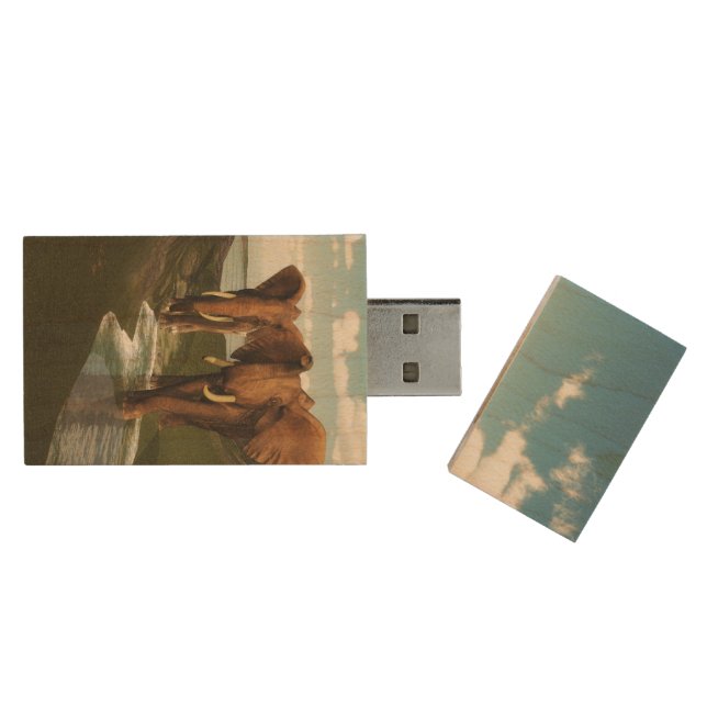 Elephant Wood Flash Drive (Opened)