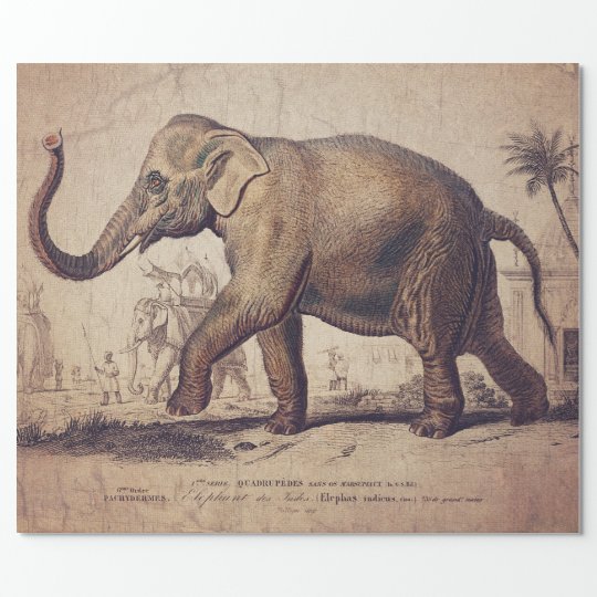 Elephant Wrapping or Decoupage Paper | Zazzle.com