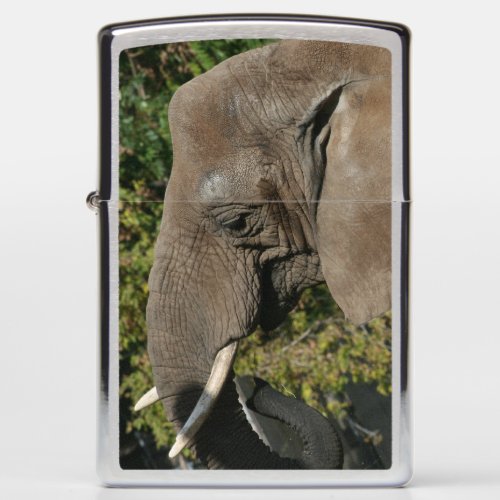 Elephant Zippo lighter