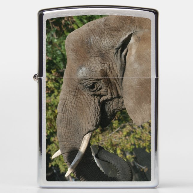 Elephant Zippo lighter (Front)