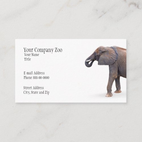 Elephant Zoologist Business Card