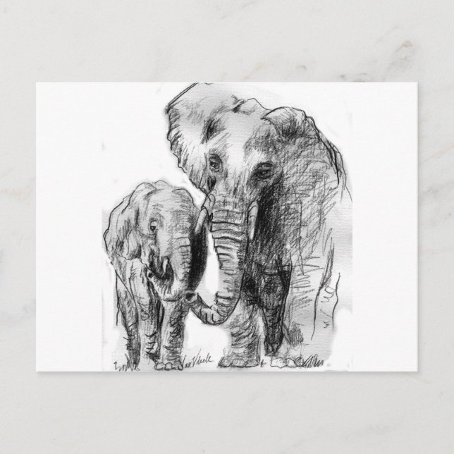 elephantonajourney postcard (Front)