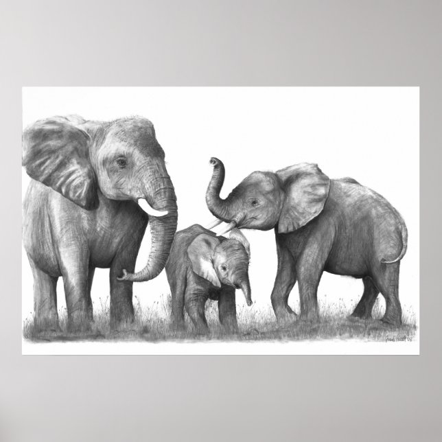 Elephants_3 Poster (Front)