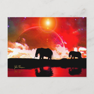 Elephants Among the Stars Post Card
