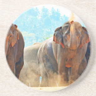 Elephants Animals Safari Destiny Peace Love Coaster