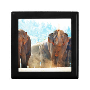 Elephants Animals Safari Destiny Peace Love Jewelry Box