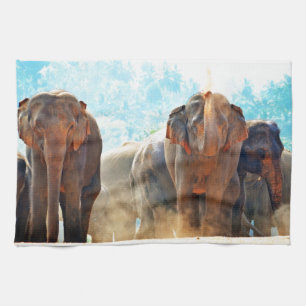 Elephants Animals Safari Destiny Peace Love Towel