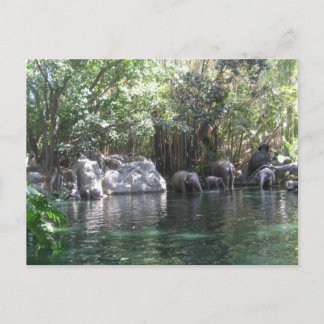 Elephants at play postcard