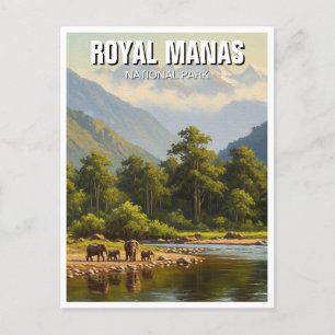 Elephants at Royal Manas National Park Postcard
