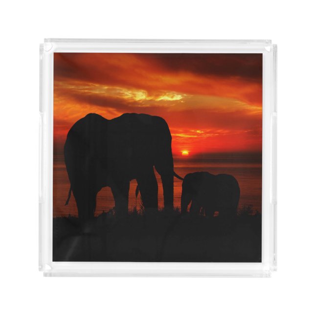 Elephants at Sunset Acrylic Tray (Front)