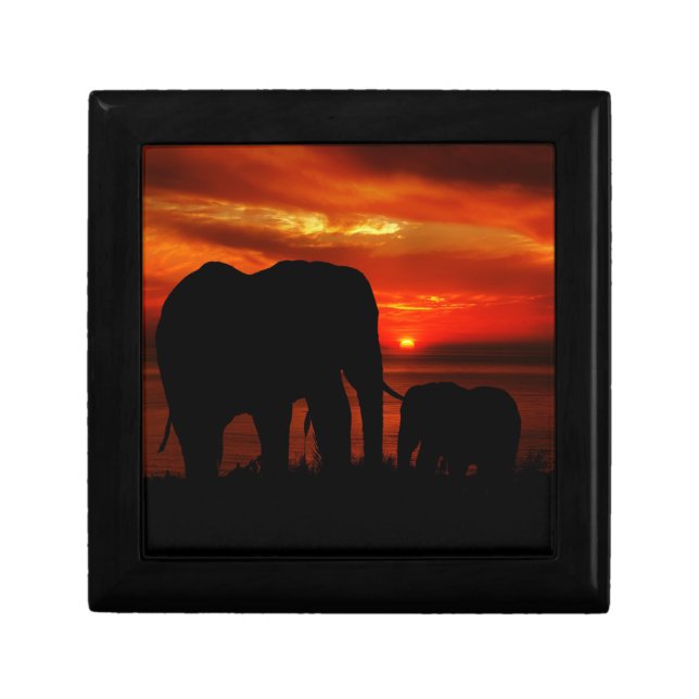Elephants at Sunset Gift Box (Front)