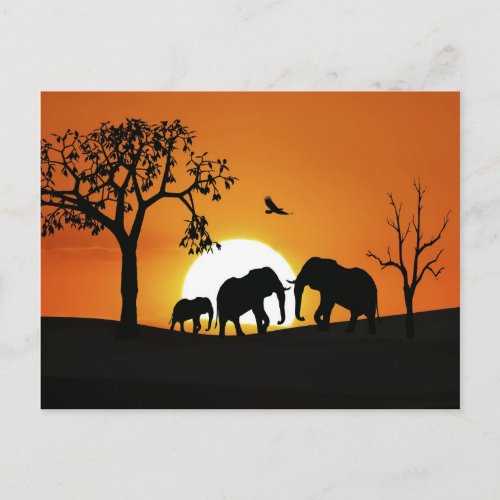 Elephants at sunset postcard