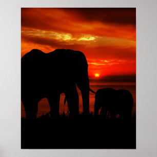 Elephants at Sunset Poster