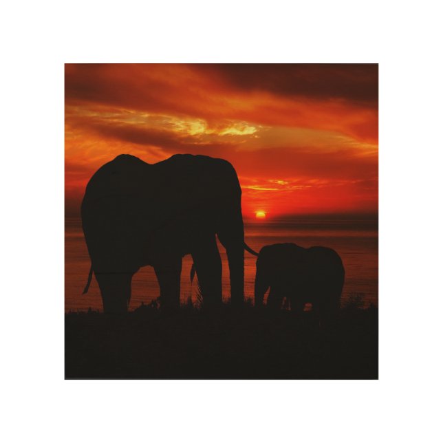 Elephants at Sunset Wood Wall Art (Front)