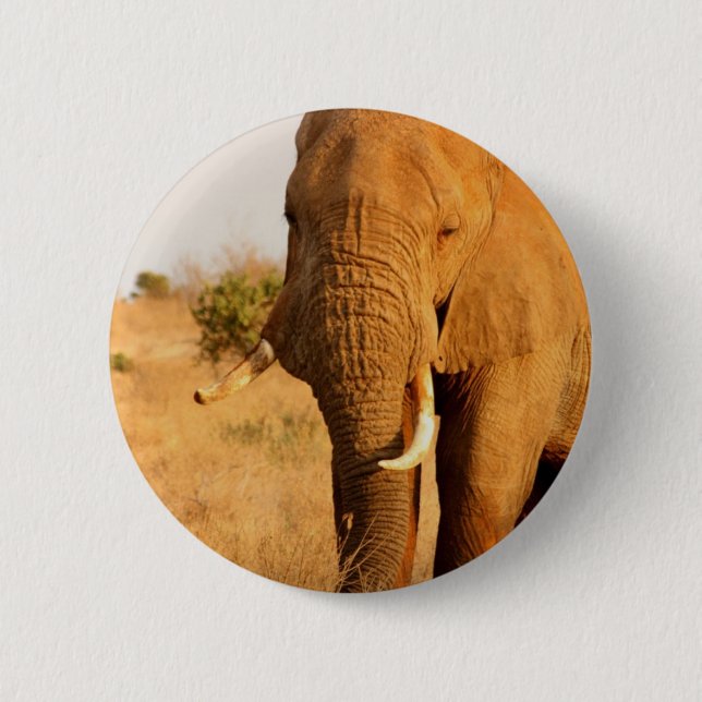 Elephants Button (Front)