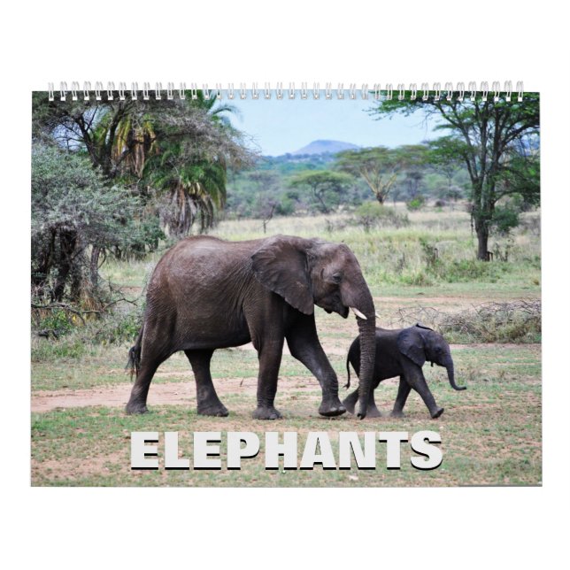 Elephants Calendar (Cover)