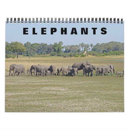 ELEPHANTS CALENDAR