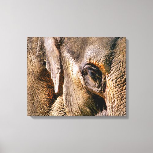 ELEPHANTS CANVAS PRINT