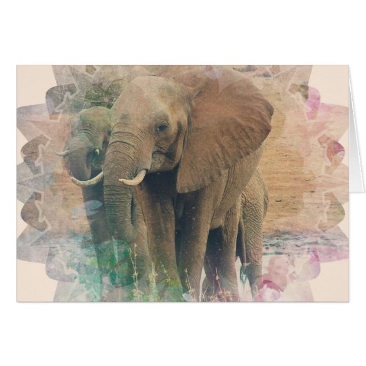 Elephants Cards (Front Horizontal)