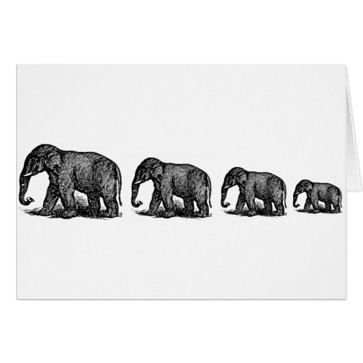 Elephants Cards (Front Horizontal)