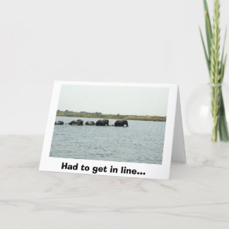 Elephants Crossing Chobe River Card
