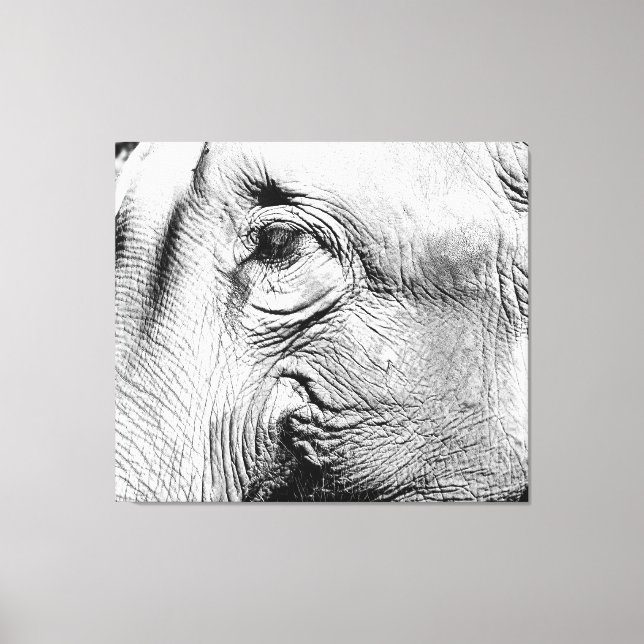 Elephants Eye, 2017 Canvas Print (Front)