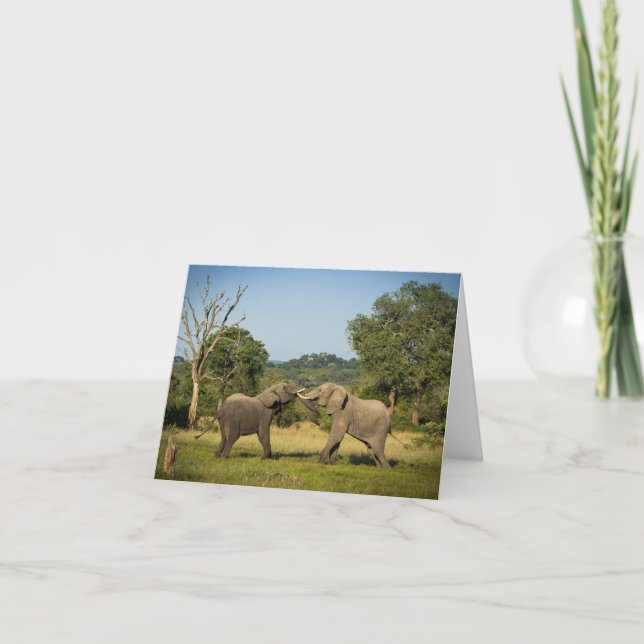 Elephants Fighting Folded Greeting Card (Front)