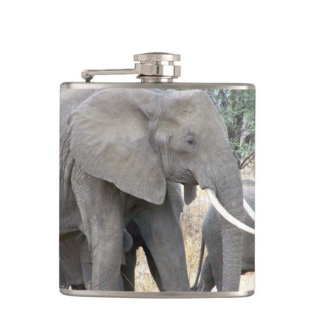 Elephants Flask (Front)