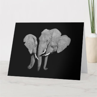Elephants greeting card