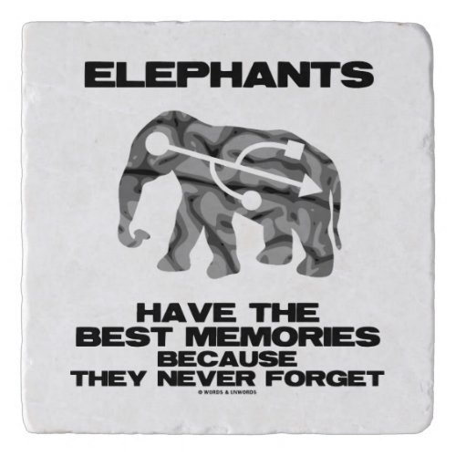 Elephants Have Best Memories Because Never Forget Trivet