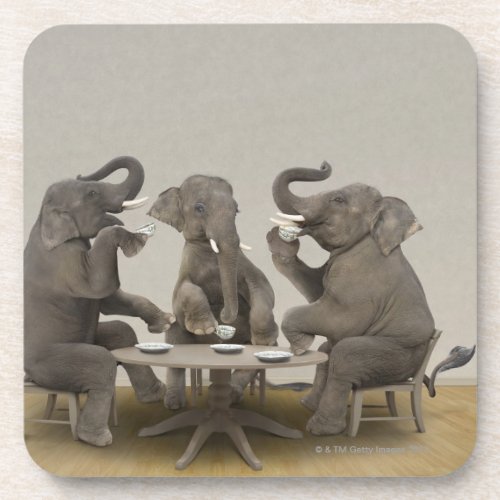 Elephants having tea party beverage coaster