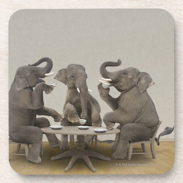 Elephants having tea party beverage coaster (Front)