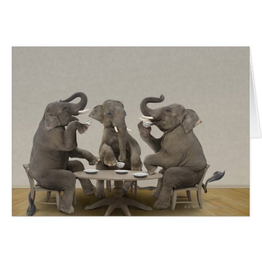Elephants having tea party cards (Front Horizontal)