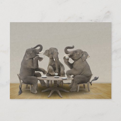 Elephants having tea party postcard