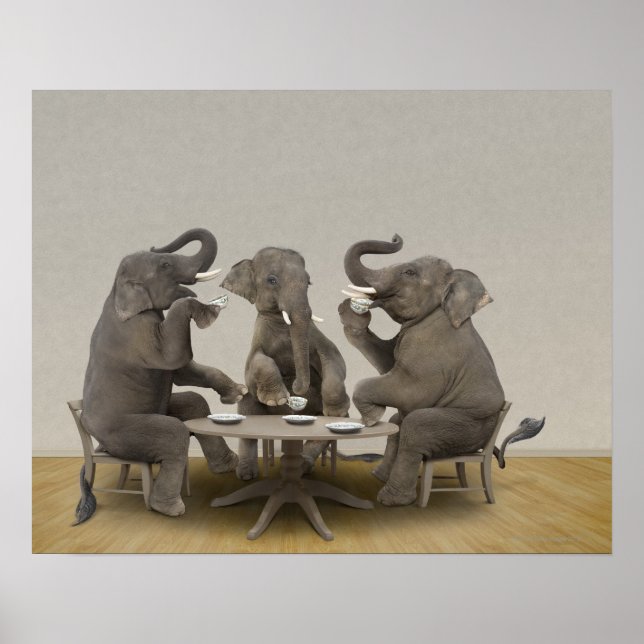 Elephants having tea party poster (Front)