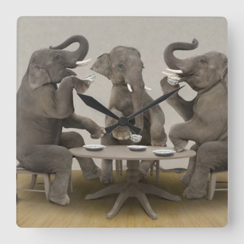 Elephants having tea party square wall clock