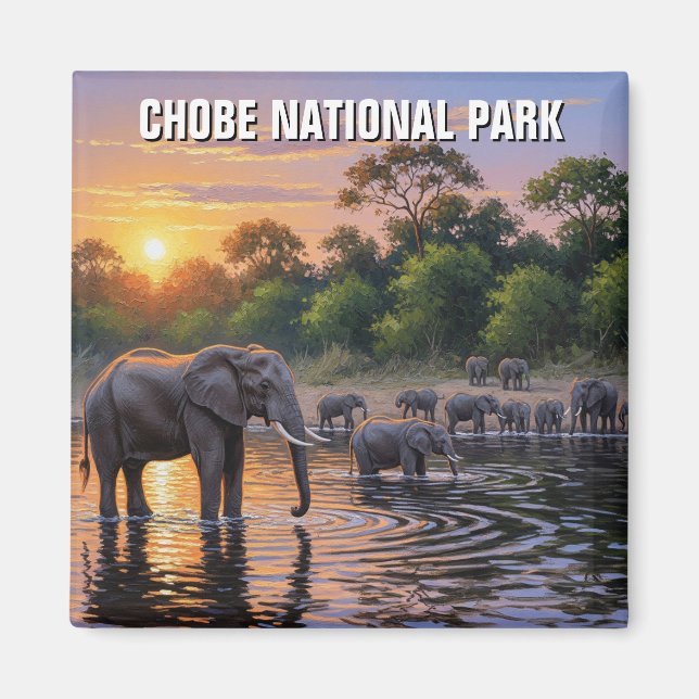 Elephants in Chobe National Park Botswana Magnet (Front)