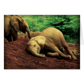 Elephants in Kenya (Front Horizontal)