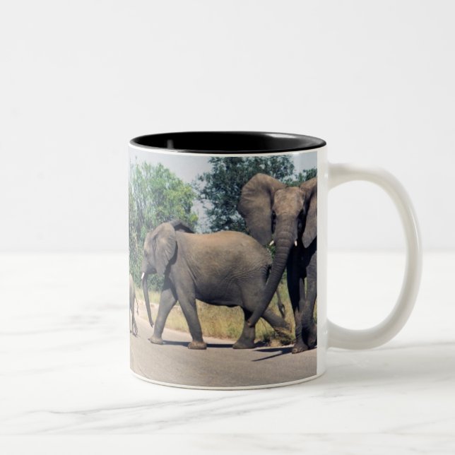 Elephants in Kruger Park Two-Tone Coffee Mug (Right)